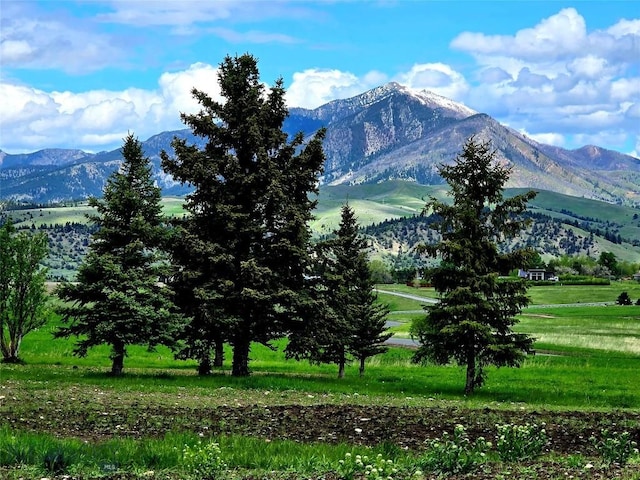 TBDLOT17 Boreal Way, Bozeman, MT 59715