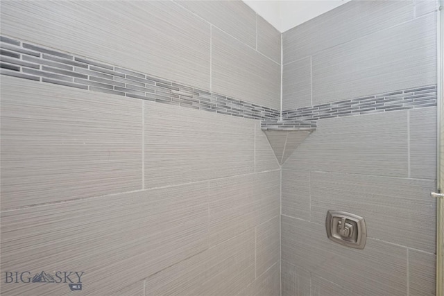 room details with tiled shower