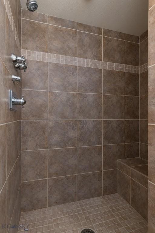 bathroom with a tile shower