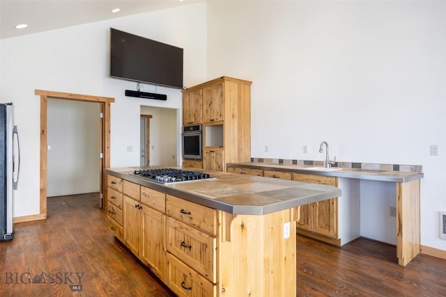 kitchen featuring high vaulted ceiling, a sink, appliances with stainless steel finishes, a center island, and dark wood finished floors