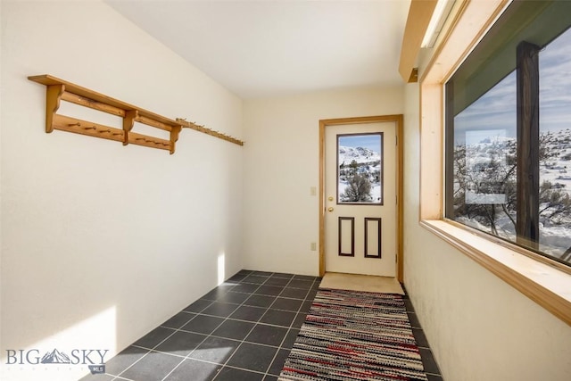 entryway featuring dark tile patterned floors