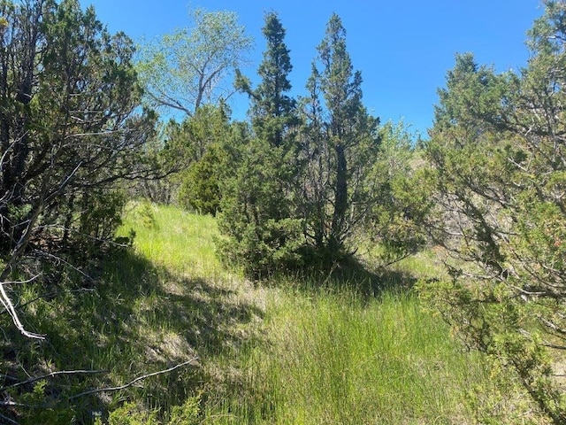 Listing photo 3 for 18 Keating Gulch Rd, Radersburg MT 59641