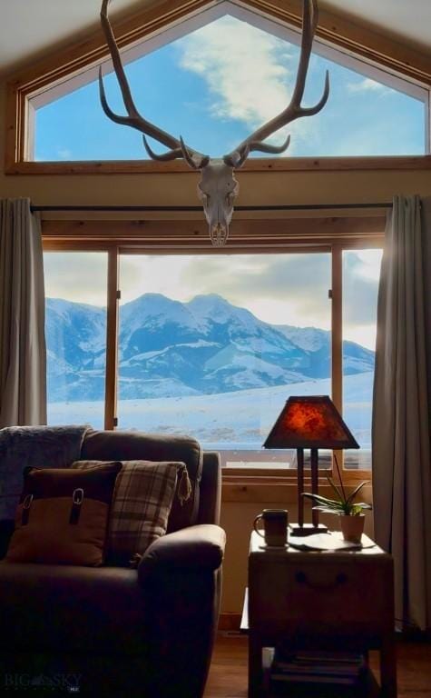 interior space with wood finished floors and a mountain view