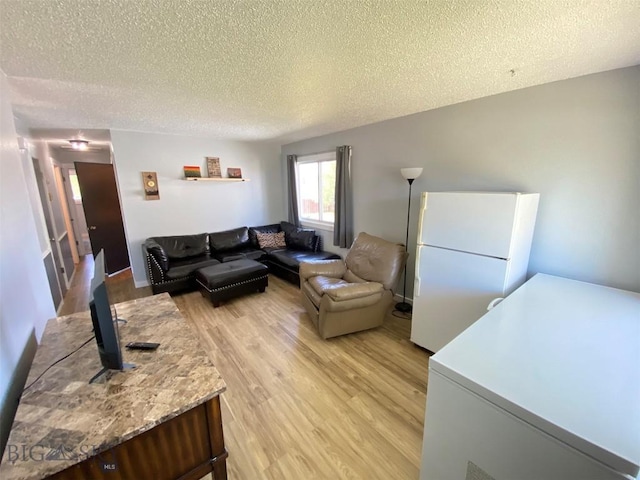 living area with light wood-style floors and a textured ceiling