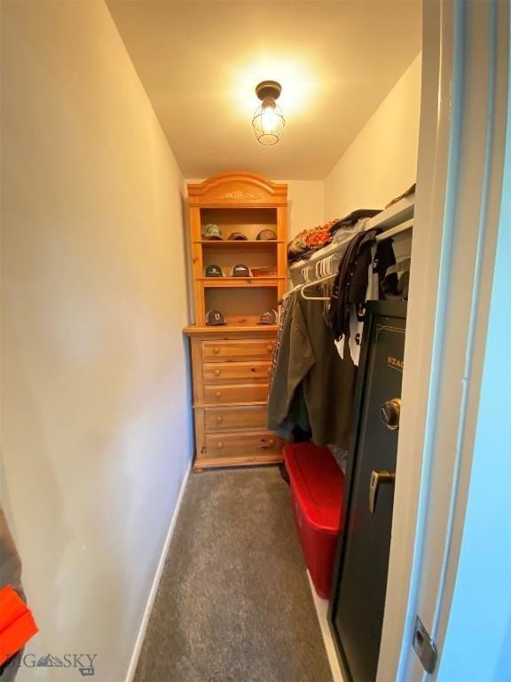 walk in closet with dark colored carpet