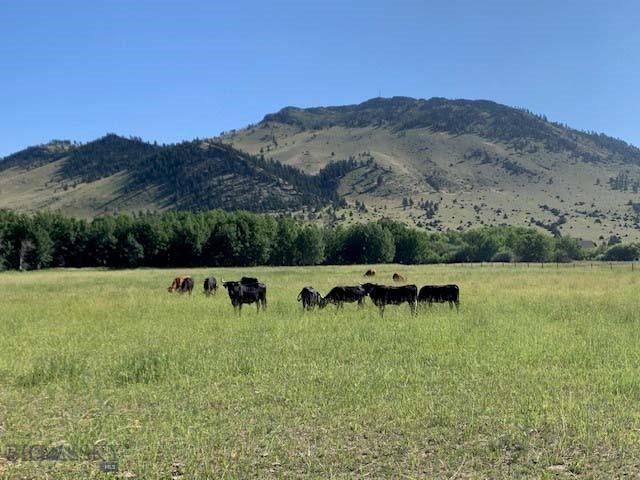 view of mountain feature featuring a rural view