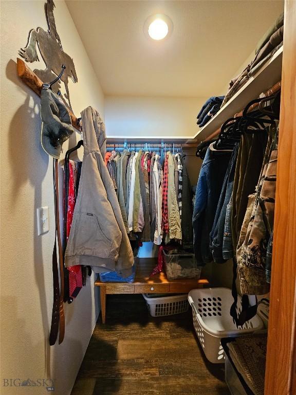 spacious closet with wood finished floors