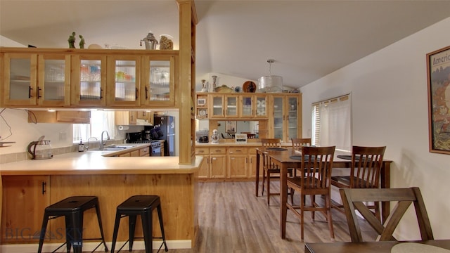 kitchen with lofted ceiling, stainless steel appliances, a sink, light countertops, and glass insert cabinets