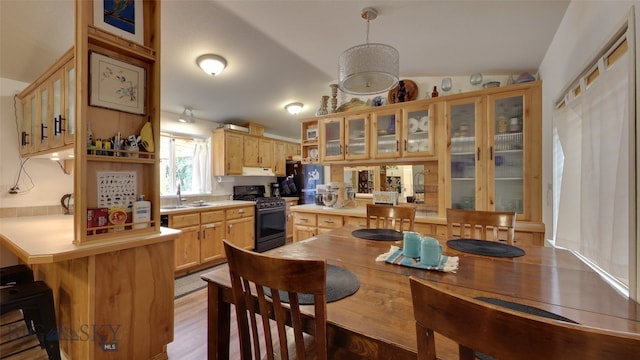 kitchen featuring a peninsula, light countertops, freestanding refrigerator, gas stove, and glass insert cabinets