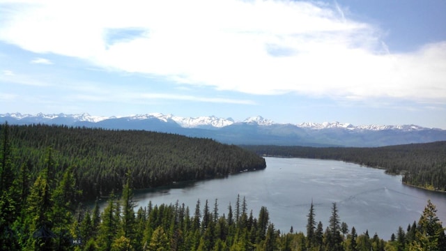 water view featuring a forest view and a mountain view