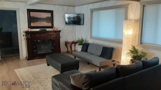 living room with wood finished floors and a glass covered fireplace