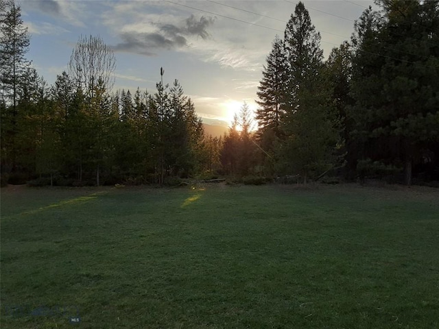 view of yard at dusk