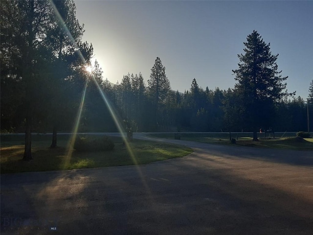 7385 Mt Highway 83, Condon, MT 59826 - view of road