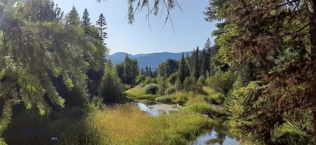 7385 Mt Highway 83, Condon, MT 59826 - mountain view featuring a heavily wooded area