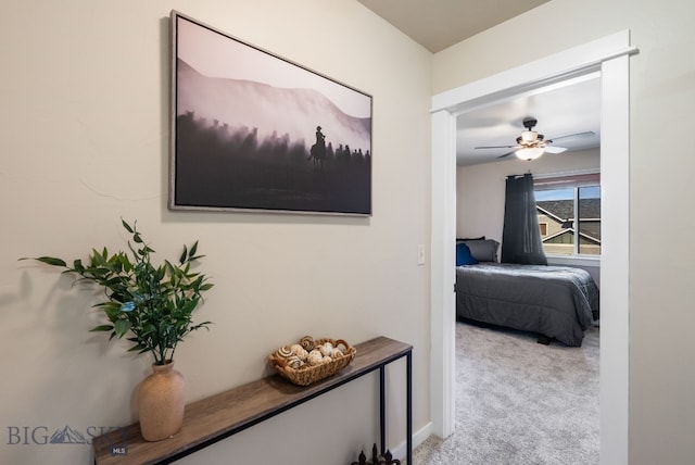 84 Tail Feather Ln Unit B, Bozeman, MT 59718 - hallway featuring carpet