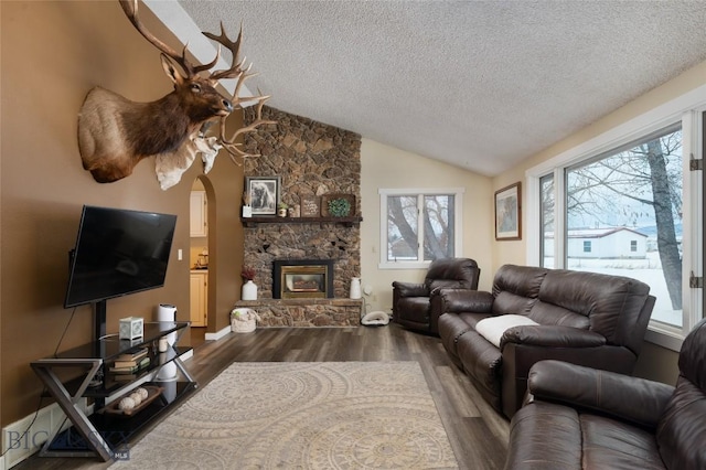 living area with vaulted ceiling, dark wood-type flooring, plenty of natural light, and arched walkways