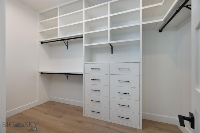 walk in closet with light wood finished floors