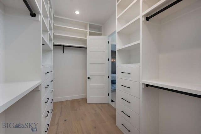 spacious closet with light wood-style floors