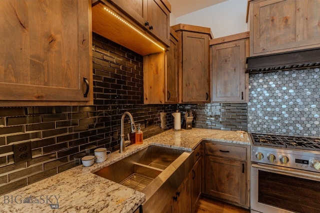 kitchen featuring stainless steel gas range, range hood, decorative backsplash, and a sink