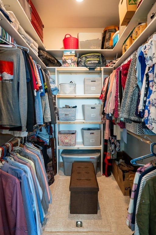 view of spacious closet