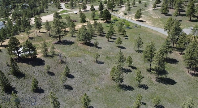 6635 Antler Way, Helena, MT 59602