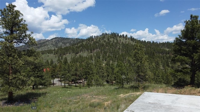 6635 Antler Way, Helena, MT 59602