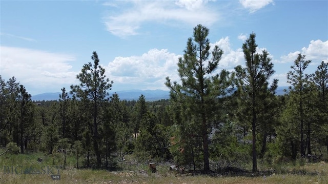 6635 Antler Way, Helena, MT 59602