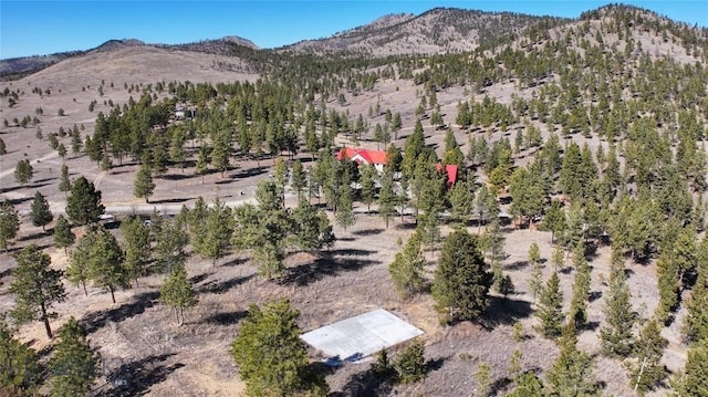 6635 Antler Way, Helena, MT 59602