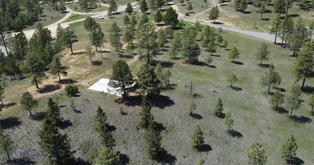 6635 Antler Way, Helena, MT 59602