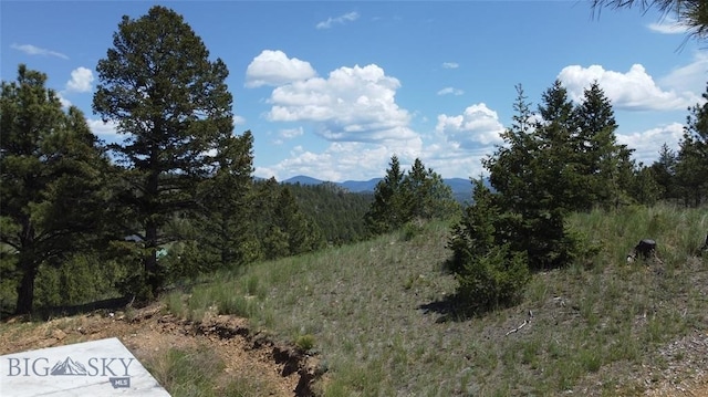 6635 Antler Way, Helena, MT 59602