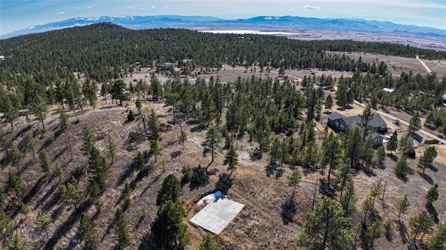 6635 Antler Way, Helena, MT 59602