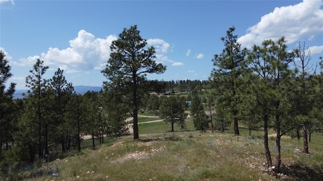 6635 Antler Way, Helena, MT 59602
