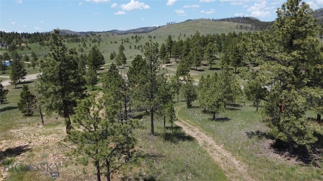 6635 Antler Way, Helena, MT 59602