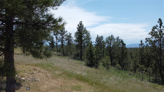 6635 Antler Way, Helena, MT 59602
