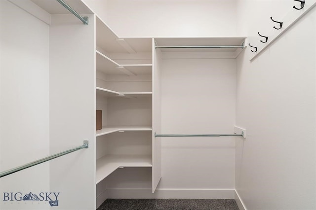 view of spacious closet