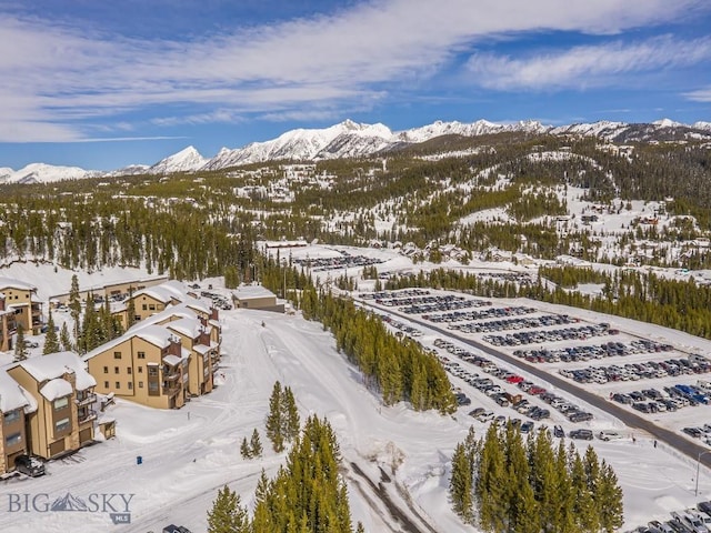 snowy aerial view featuring a mountain view