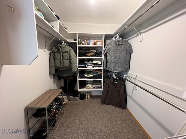 walk in closet featuring carpet