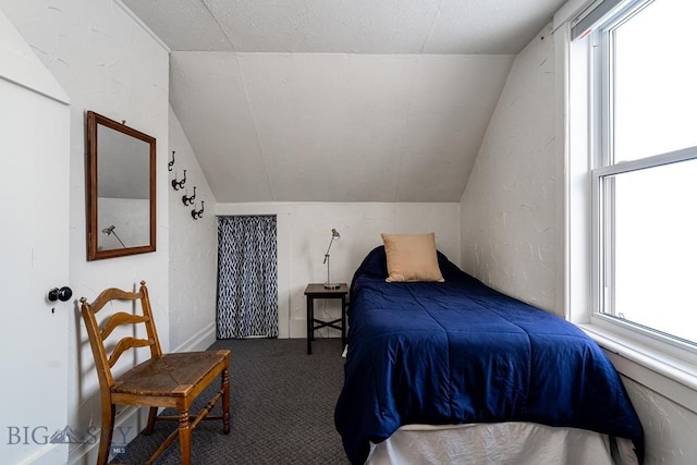 carpeted bedroom with multiple windows and vaulted ceiling