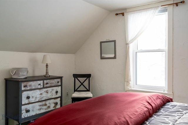 bedroom featuring vaulted ceiling