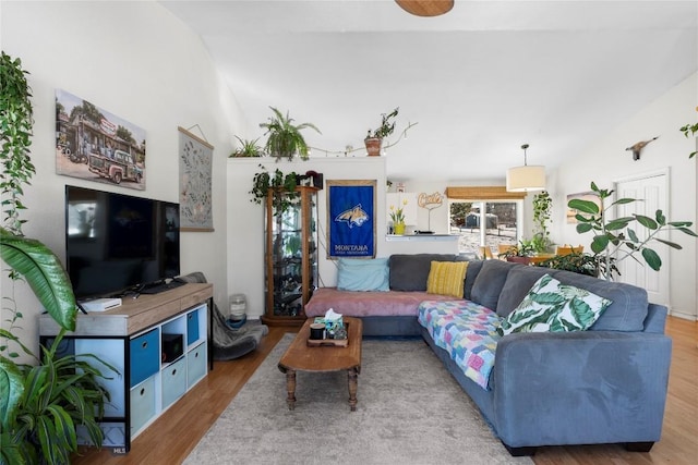 living area featuring high vaulted ceiling and wood finished floors