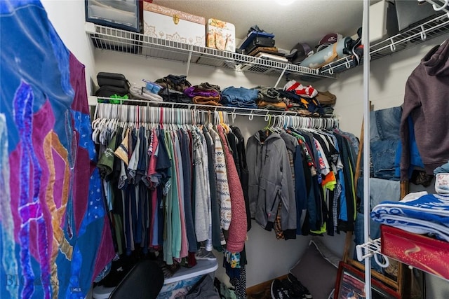 view of spacious closet