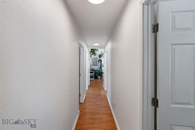 hallway with baseboards and light wood finished floors