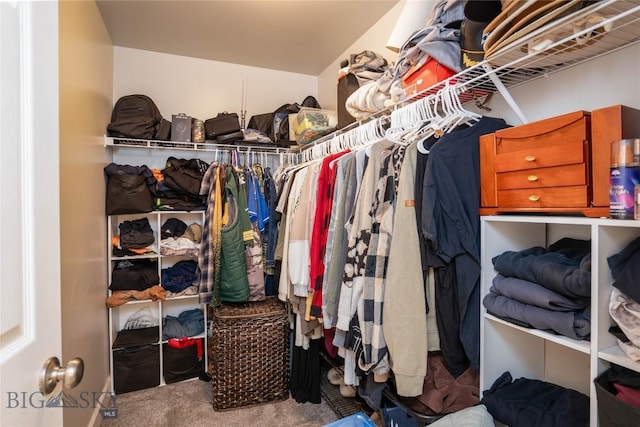 spacious closet featuring carpet flooring