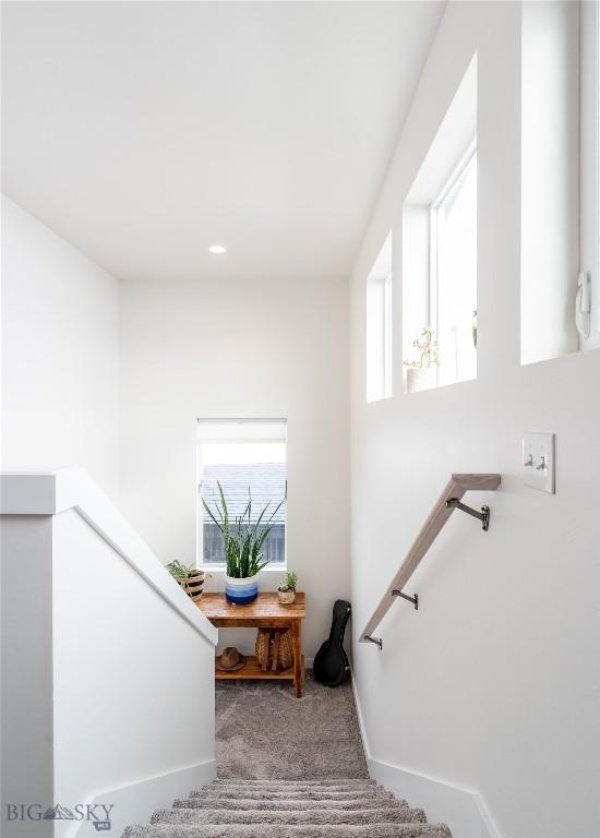 stairway with carpet flooring and baseboards