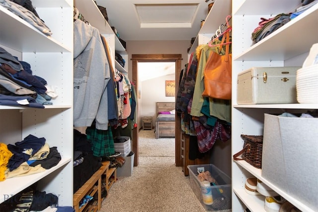 walk in closet featuring carpet floors and attic access