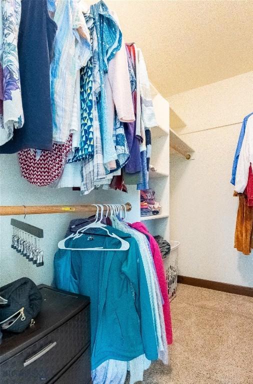 spacious closet with carpet floors