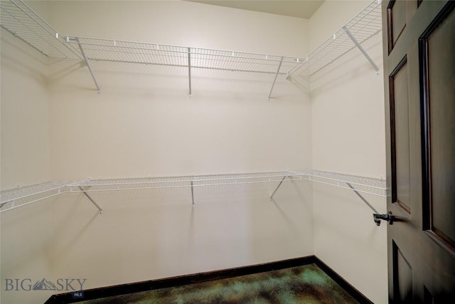 view of walk in closet