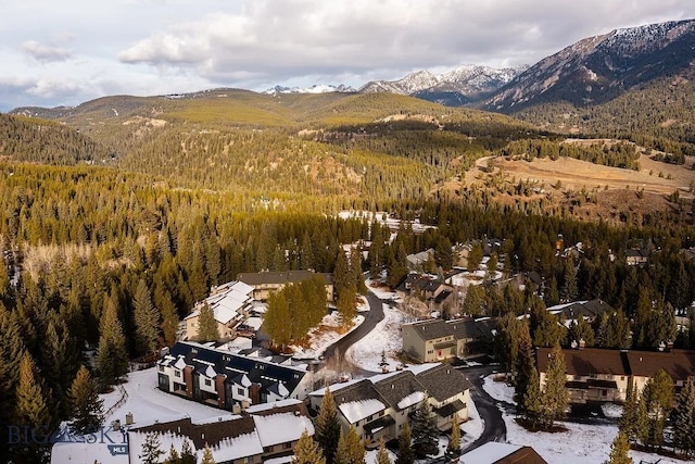 birds eye view of property with a forest view and a mountain view