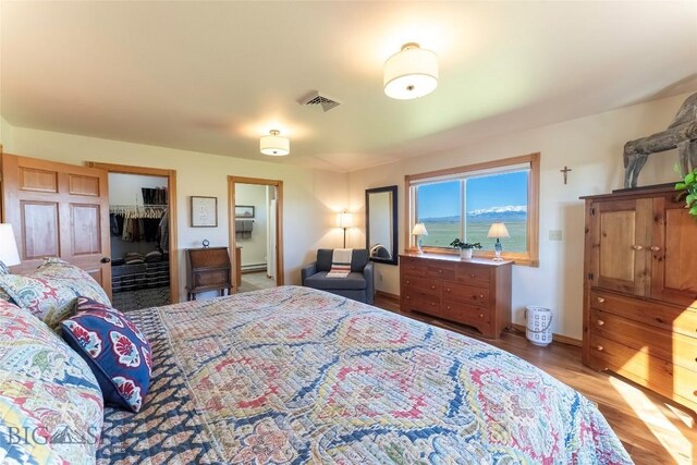 42 Jim Parrent Ln, Big Timber, MT 59011 - bedroom featuring light wood finished floors, a spacious closet, a closet, a baseboard radiator, and baseboards