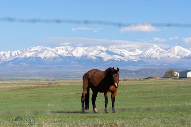 42 Jim Parrent Ln, Big Timber, MT 59011 - mountain view with rural landscape and a pastoral area